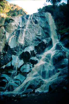 Grizzly Falls
