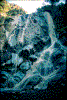 Click on thumbnail to view a full-size image