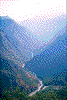 Click on thumbnail to view a full-size image
