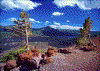 Click on thumbnail to view a full-size image