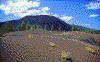 Click on thumbnail to view a full-size image