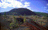 Click on thumbnail to view a full-size image