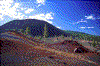 Click on thumbnail to view a full-size image