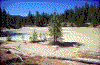Click on thumbnail to view a full-size image