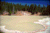 Click on thumbnail to view a full-size image