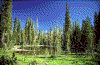 Click on thumbnail to view a full-size image