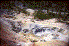 Click on thumbnail to view a full-size image