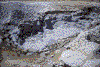 Click on thumbnail to view a full-size image