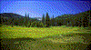 Click on thumbnail to view a full-size image