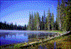 Click on thumbnail to view a full-size image