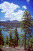 Click on thumbnail to view a full-size image