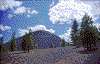 Click on thumbnail to view a full-size image