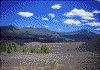 Click on thumbnail to view a full-size image