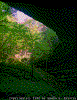 Click on thumbnail to view a full-size image