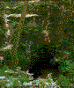 Click on thumbnail to view a full-size image