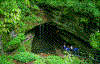 Click on thumbnail to view a full-size image