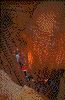 Click on thumbnail to view a full-size image