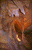 Click on thumbnail to view a full-size image