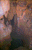 Click on thumbnail to view a full-size image