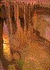 Click on thumbnail to view a full-size image