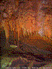 Click on thumbnail to view a full-size image