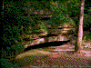 Click on thumbnail to view a full-size image