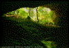 Click on thumbnail to view a full-size image