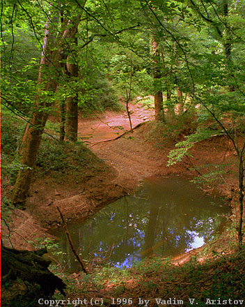 Sinkhole near Echo River Spring