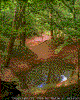 Click on thumbnail to view a full-size image