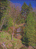 Click on thumbnail to view a full-size image