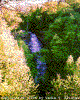 Click on thumbnail to view a full-size image