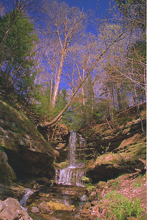 Horseshoe Falls