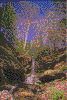 Click on thumbnail to view a full-size image