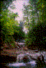 Click on thumbnail to view a full-size image