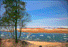 Click on thumbnail to view a full-size image