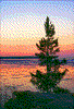 Click on thumbnail to view a full-size image