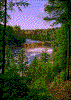 Click on thumbnail to view a full-size image