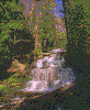 Click on thumbnail to view a full-size image