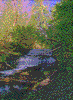 Click on thumbnail to view a full-size image