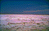 Click on thumbnail to view a full-size image