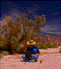 Click on thumbnail to view a full-size image