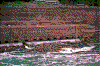 Click on thumbnail to view a full-size image