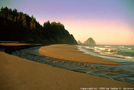 Beach in Oregon