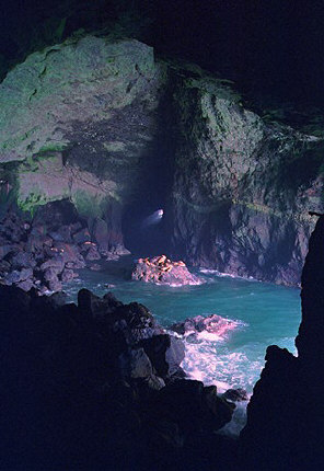 Sea Lions Cave