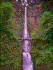 Click on thumbnail to view a full-size image