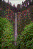 Click on thumbnail to view a full-size image