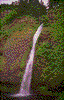 Click on thumbnail to view a full-size image