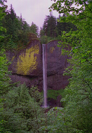 The Waterfall