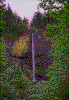 Click on thumbnail to view a full-size image