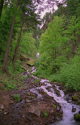 The Creek